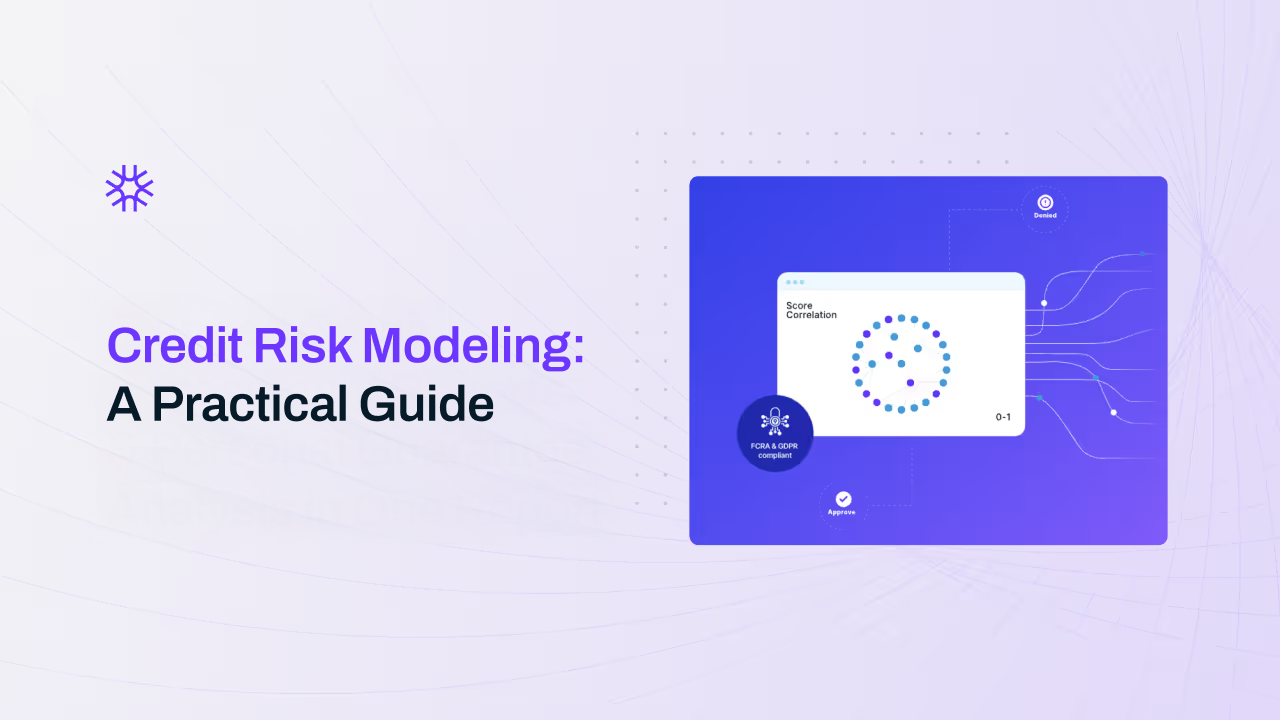 Credit Risk Modeling
